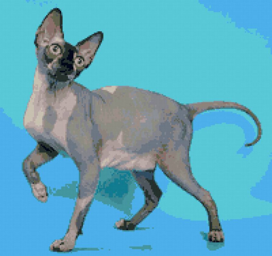 киса - предпросмотр