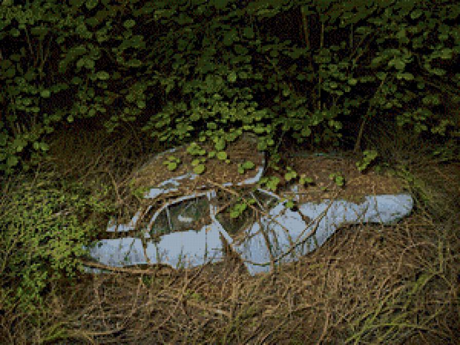 Умирающее авто 10 - авто, машина, ретро - предпросмотр