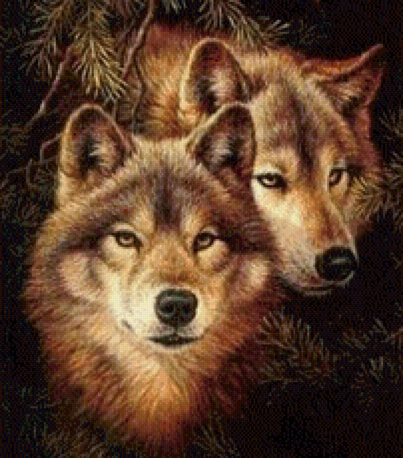 волки - предпросмотр