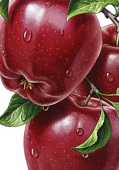 яблоки - оригинал