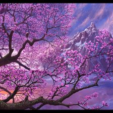 Схема вышивки «Сакура»