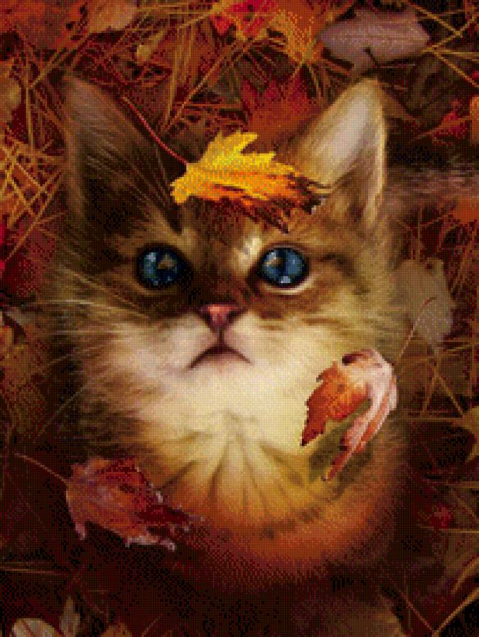 Рыжий кот - осень, кот, котенок - предпросмотр