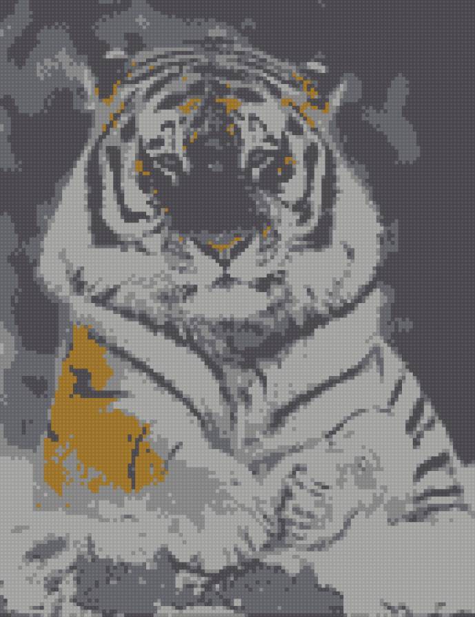 амурский тигр - хищники - предпросмотр