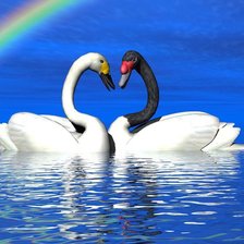 Схема вышивки «Лебеди»