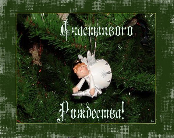Рождество - елка., новый год, праздник - оригинал