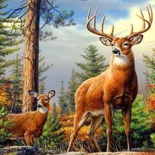 Схема вышивки «Олени»