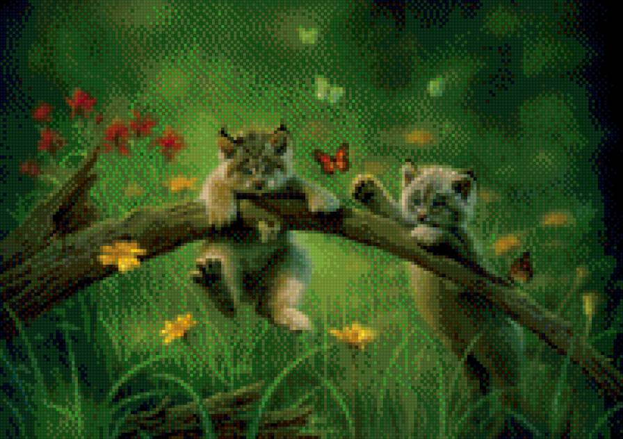 котята - котята - предпросмотр