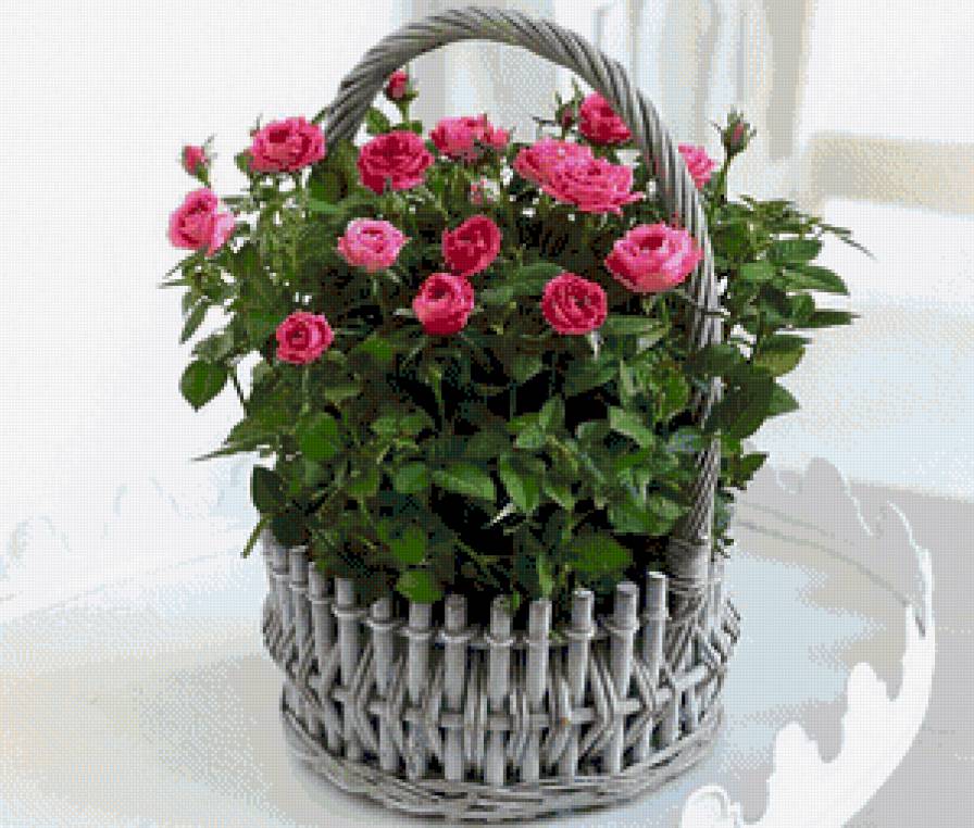 Корзина роз - букет цветы - предпросмотр