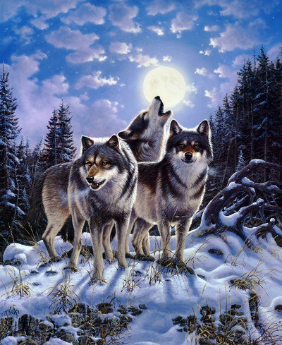 Волчья стая - волки лес луна - оригинал