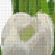 Предпросмотр схемы вышивки «Белые тюльпаны» (№1071898)