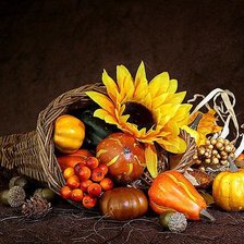 Схема вышивки «подсолнух»