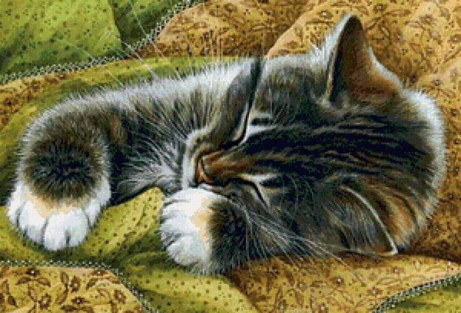 сон - предпросмотр