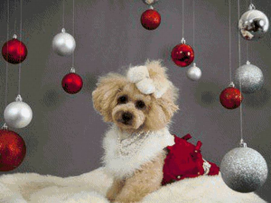 Собачка - новый год - предпросмотр