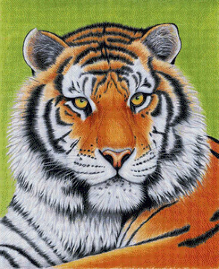 в мире животных - тигры, животные - предпросмотр