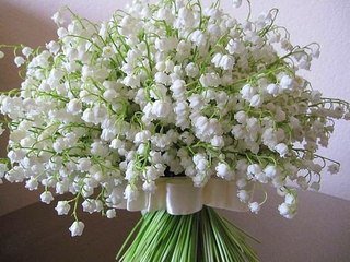 ландыши - ландыши, цветы - оригинал