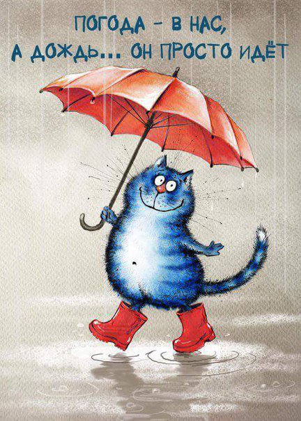 Дождь - дождь, кот, погода - оригинал