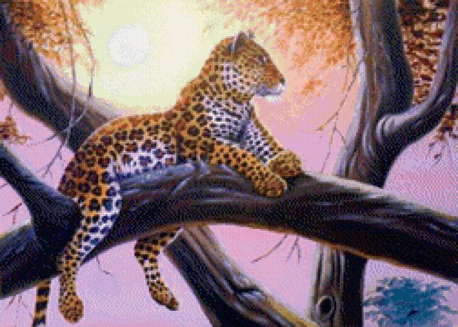 Гепард - животные - предпросмотр