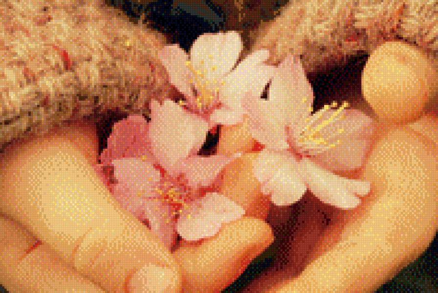 нежность - дети цветы любовь - предпросмотр