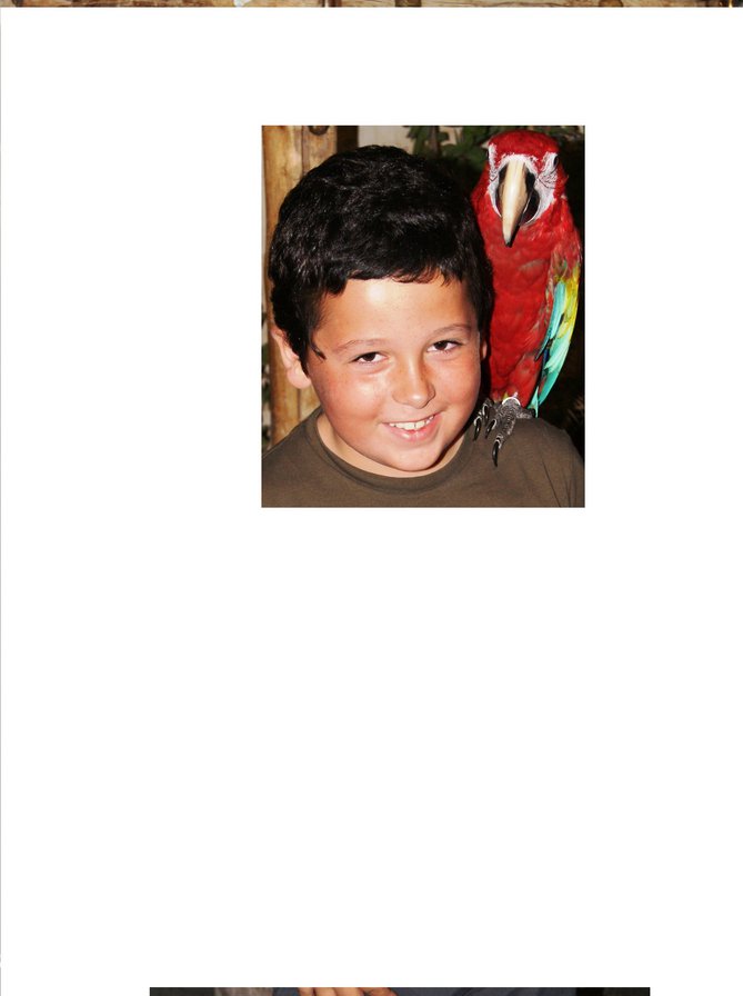 345 - 345 - оригинал