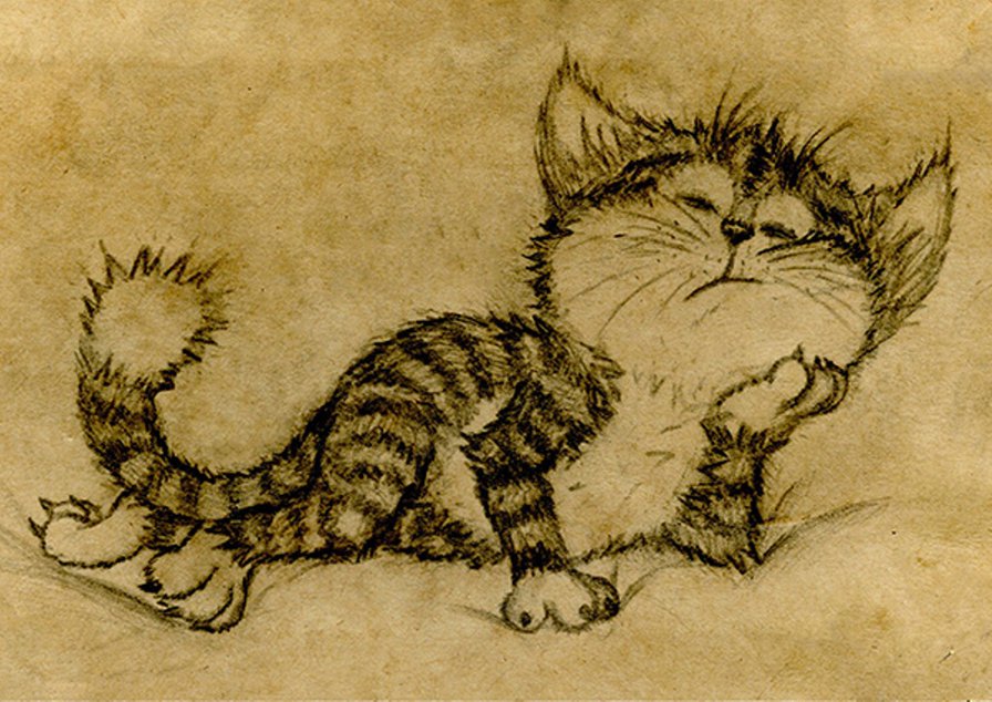 Спящий Котик - кот, сон, подушка - оригинал