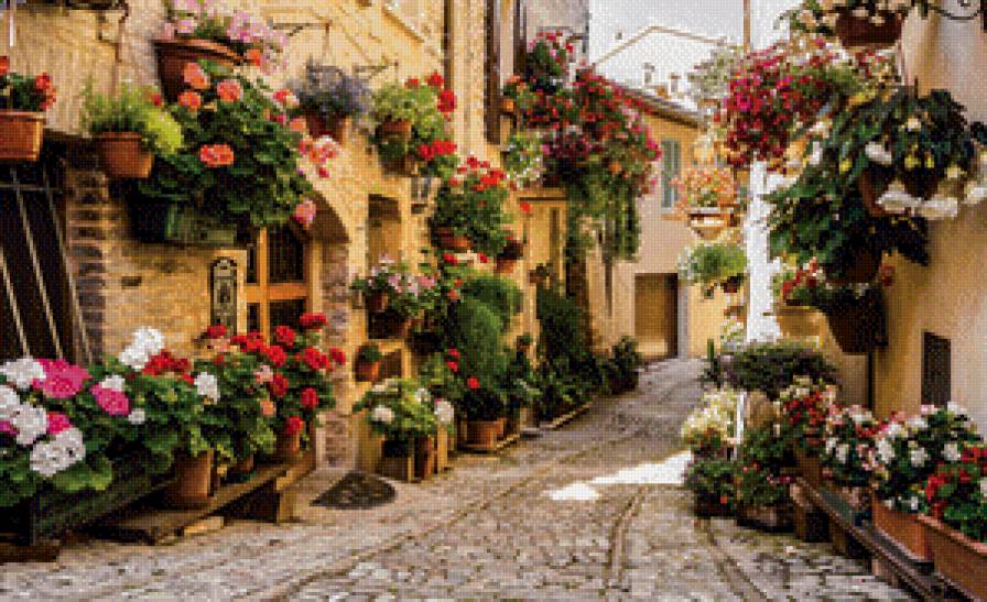 Улица в цвету - дома, деревья, улица - предпросмотр