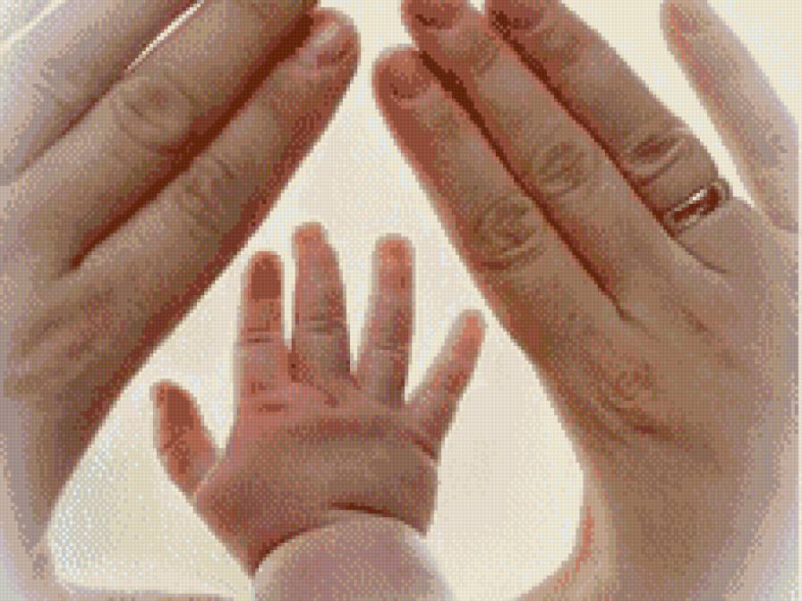 Семейное счастье - руки, малыш, семья, папа, мама - предпросмотр