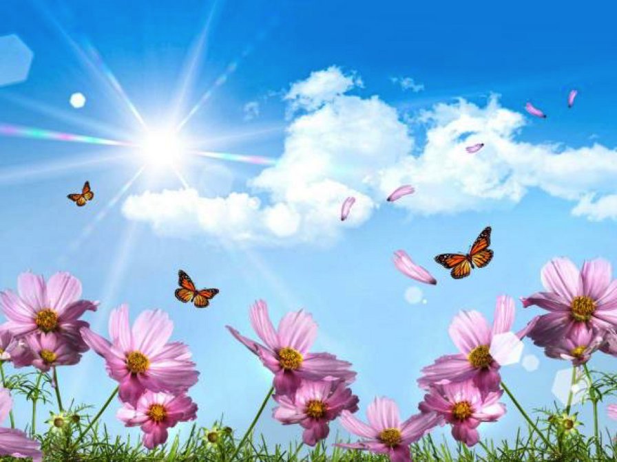 летняя пора - цветы, бабочки, солнце, лето - оригинал