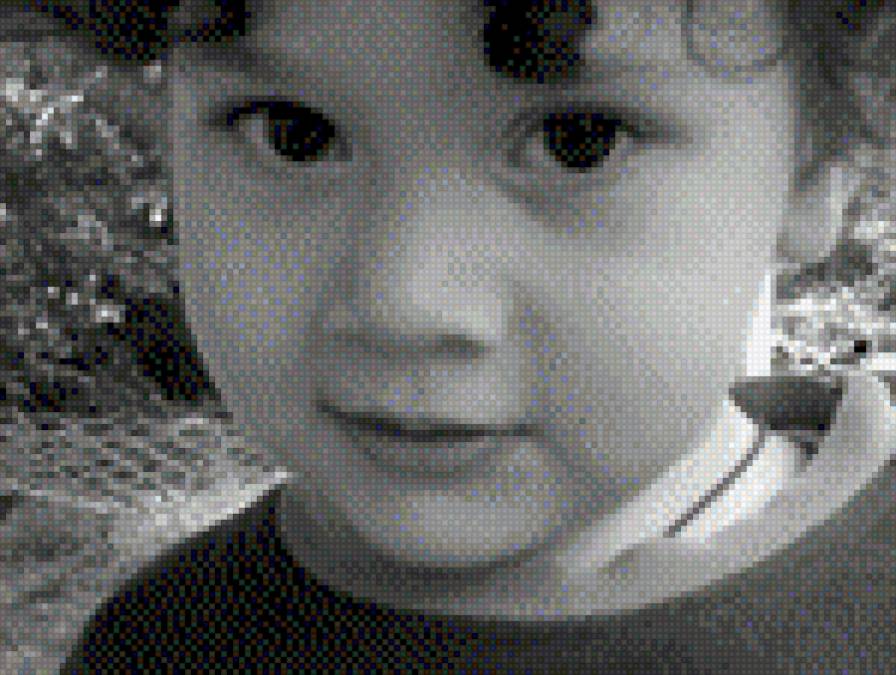 saba2 - предпросмотр