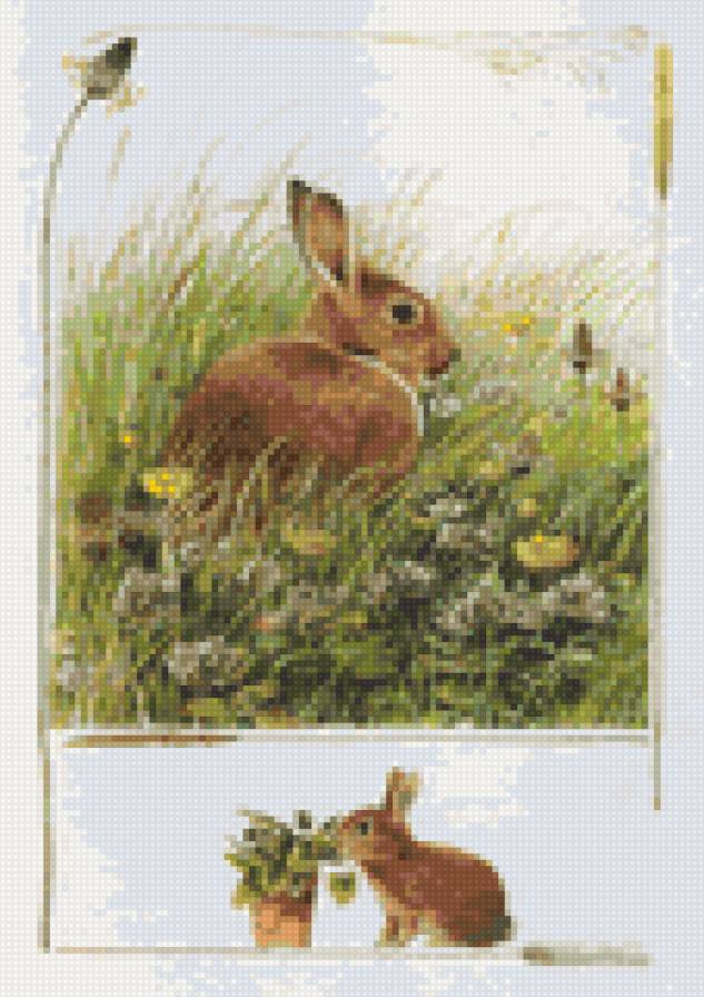 кролик - предпросмотр