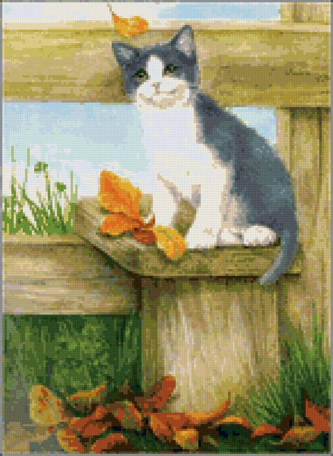 киса - предпросмотр