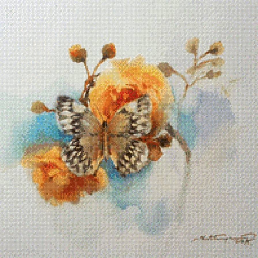 Бабочка - предпросмотр