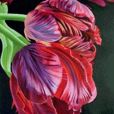 Оригинал схемы вышивки «tulipani 1» (№1074561)