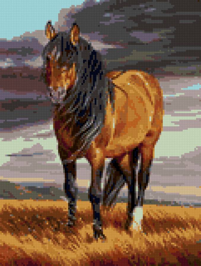 лошадь - предпросмотр