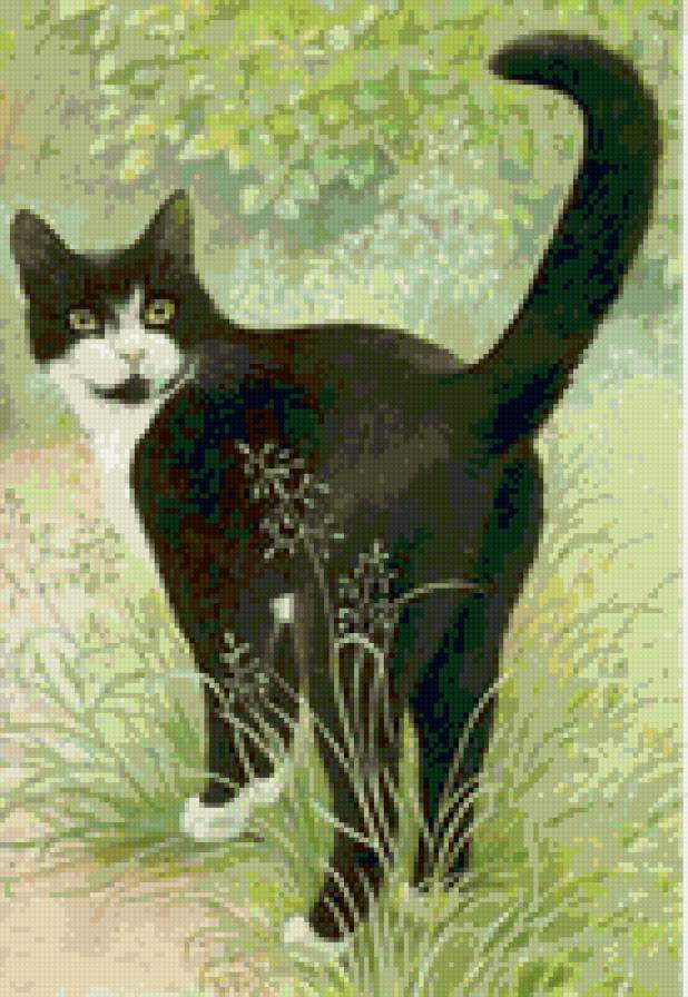 кошка - предпросмотр