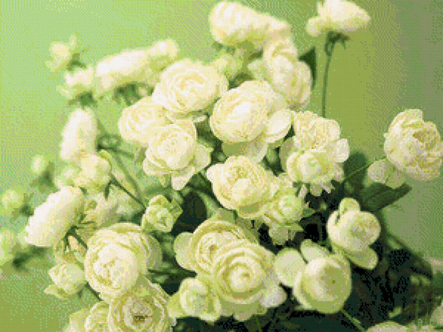 Белые розы - букет, цветы - предпросмотр