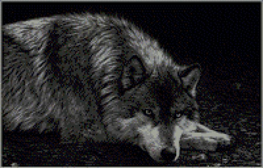 волк - предпросмотр