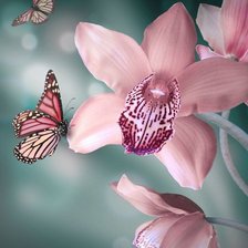 Схема вышивки «бабочка на орхидее»