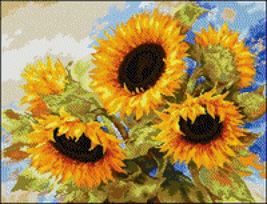 Słoneczniki - предпросмотр