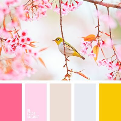 птица - оригинал