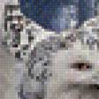Предпросмотр схемы вышивки «Сова» (№1075592)