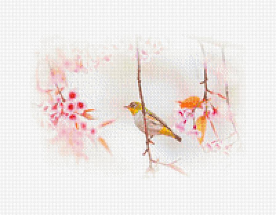 птица 1 канва - предпросмотр