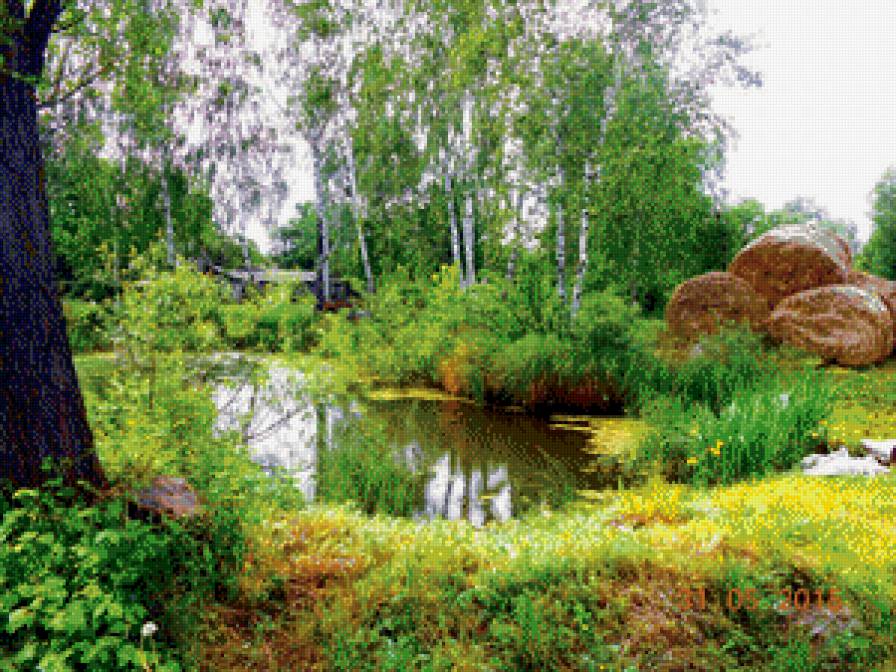 озерцо в деревеньке - озеро береза зелень - предпросмотр