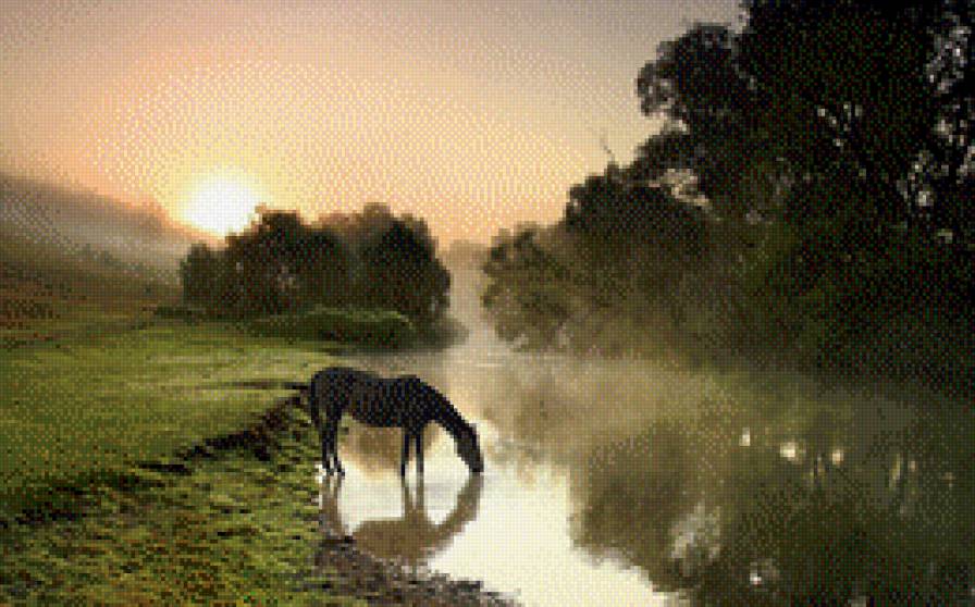 летнее утро - лето, лошадь, утро - предпросмотр