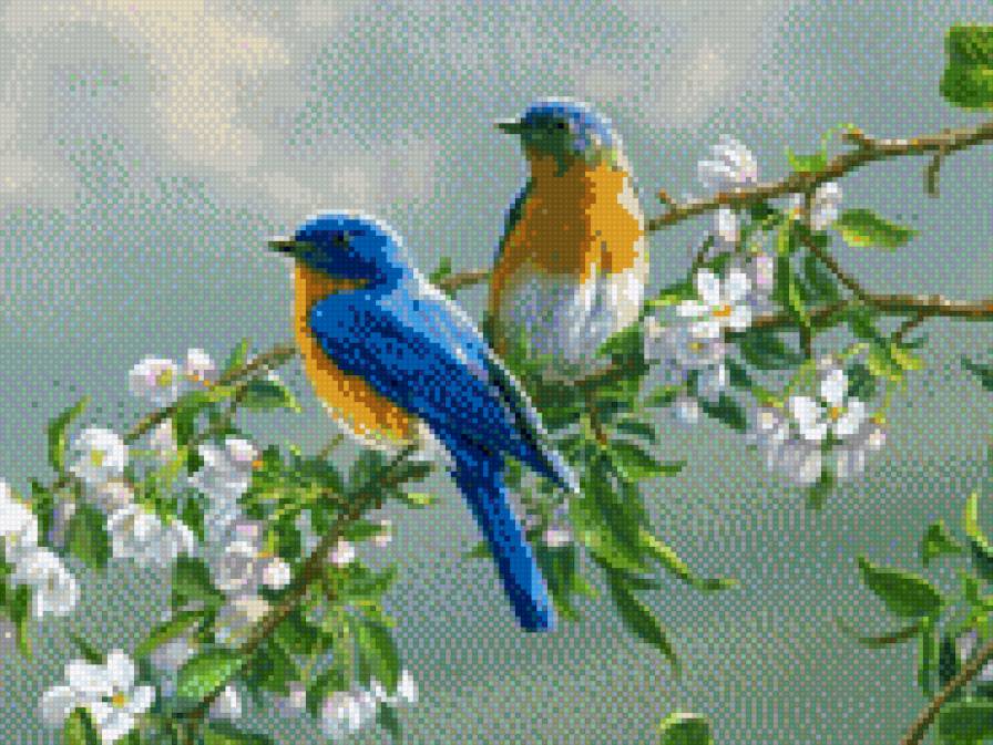 Птицы, природа - птицы - предпросмотр