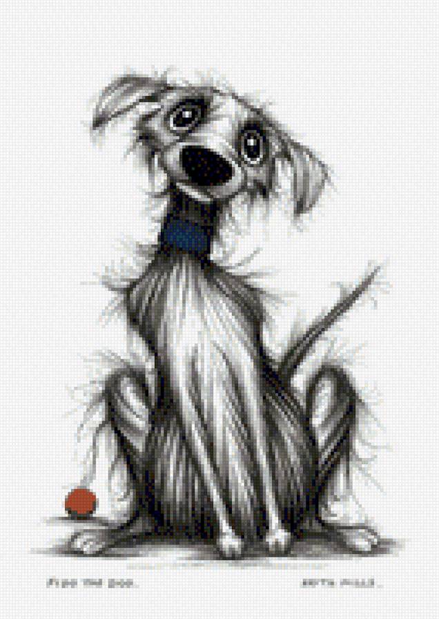 лохматый барбос - собака - предпросмотр