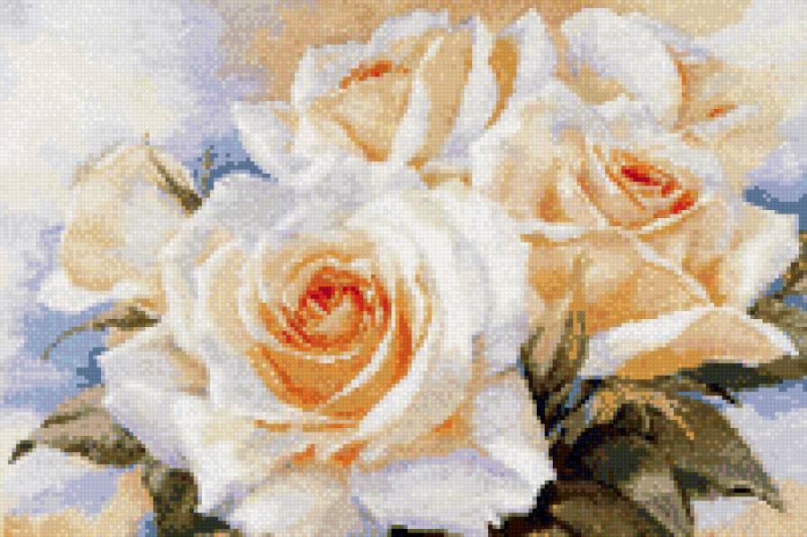 Белые розы Алиса - оригинал