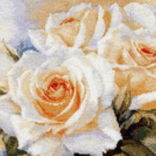 Схема вышивки «Белые розы Алиса»