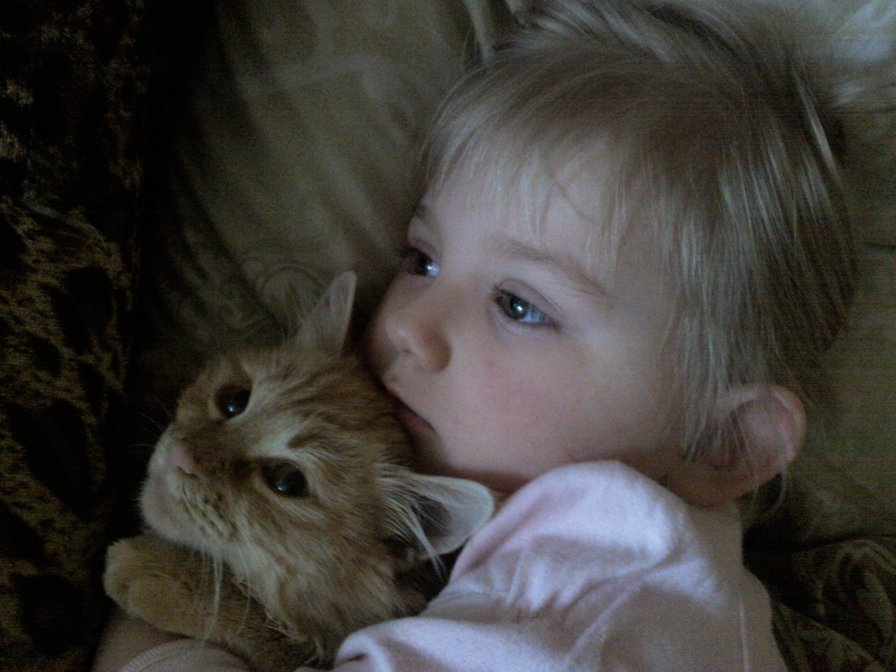 моя внучка Милана - котик - оригинал