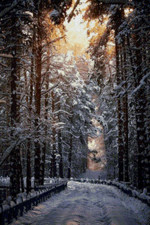 Зимняя дорога. - зима, сосны, лес, солнце, снег, сказка, дорога - предпросмотр