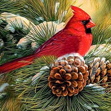 Схема вышивки «Кардинал»